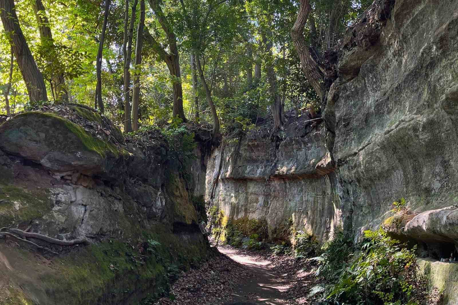 初日の出にもおすすめな鎌倉由比ヶ浜の日の出海沿いの街情報 ベイスタイル