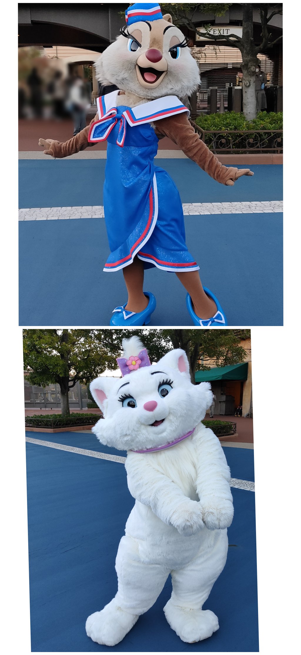 ディレクターコスのミッキーとミニーとディズニーシープラザでペアグリーティング ディズニーブログ TOONDAYS