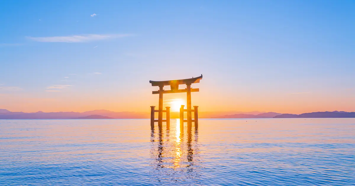 海津大崎の桜2020年に訪れたい遅咲き桜で染まる絶景の岬 - 旅ゆら