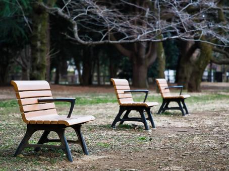 12ページ目代々木公園の写真素材写真素材なら「写真AC」無料 フリー ダウンロードOK