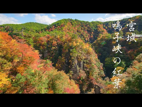 鳴子峡観光ガイド 紅葉だけじゃない！温泉・穴場・グルメ完全攻略KAKUU
