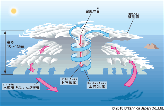 巨大な台風やハリケーンは、海洋の生態系にも影響を及ぼす：研究結果WIRED.jp