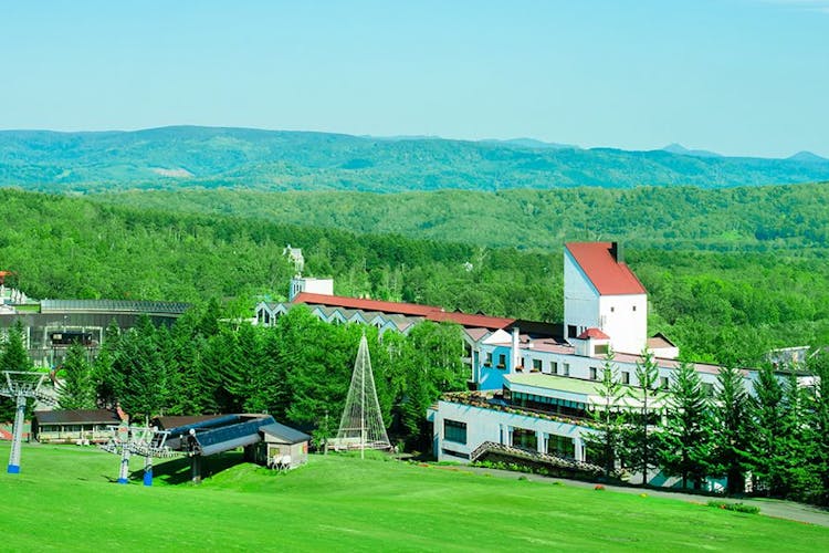 伊豆今井浜東急ホテル 賀茂郡河津町 静岡新聞アットエス