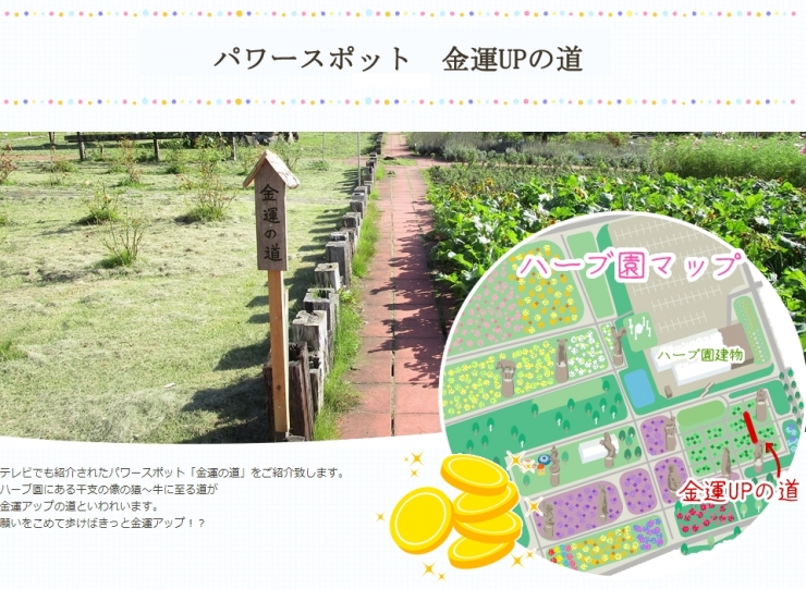 幻想的な「アンブレラスカイ」、猪苗代ハーブ園で７４０本の傘の花 訪れた女性「ポジティブな気分に」 : 読売新聞