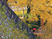 でんでんむしバス」で岩手盛岡観光、歴史と清流と盛岡冷麺も！オリコンニュース ORICON NEWS