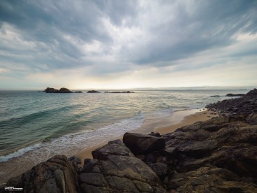 禁断の島 絶対近づくな！世界に実在する毒ヘビだらけの島がヤバすぎる