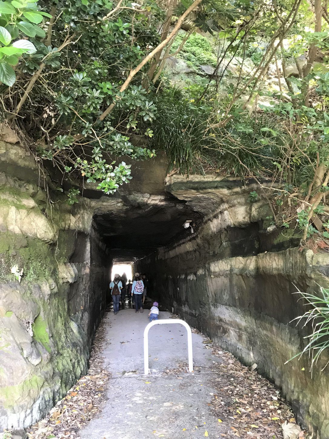 毛戸浦 今回は、勝浦市にある「毛戸浦」になります 鵜原理想郷にあるハイキングコースの途中に、毛戸岬と手弱女平の中間を下に降りて行くと毛戸浦があります。行かれる方は、道が狭く足場が悪いので足元に気をつけてください。住所千葉県勝浦市鵜原958-3