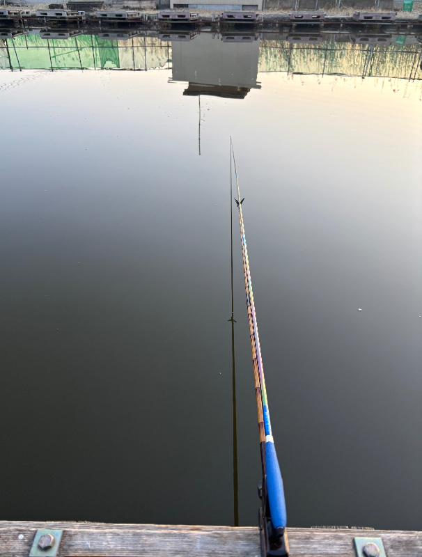 野生のテンです！ 滅多に見かけませんが 網に引っかかった死んだ魚を食べてます白根魚苑 丸沼 菅沼