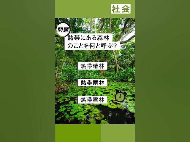 世界各地の人々の生活と環境～常夏の島で暮らす人々～ - サクナビ-受験情報・テスト対策・学習内容解説created