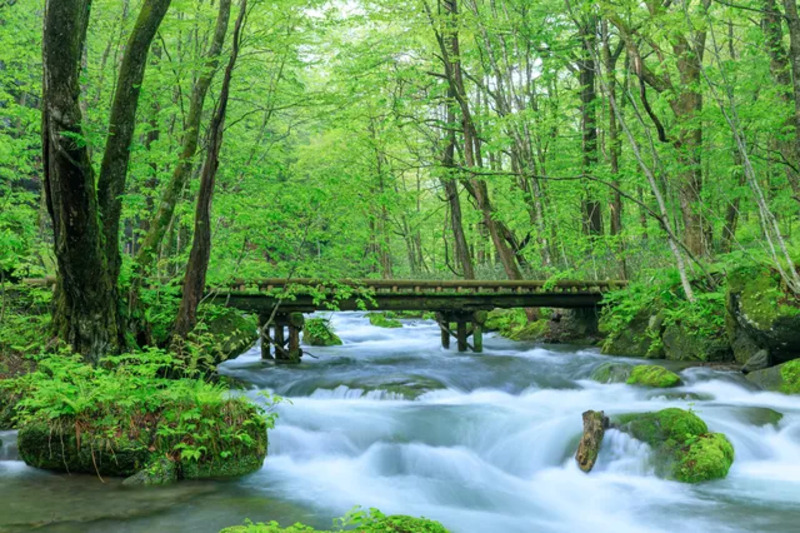 日本三名泉 草津温泉│おすすめ宿・観光スポット＆人気グルメとお土産などまとめてご紹介 -