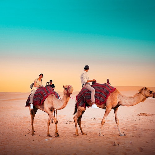 アブダビ発ラクダ乗り付き朝砂漠サファリ 2025