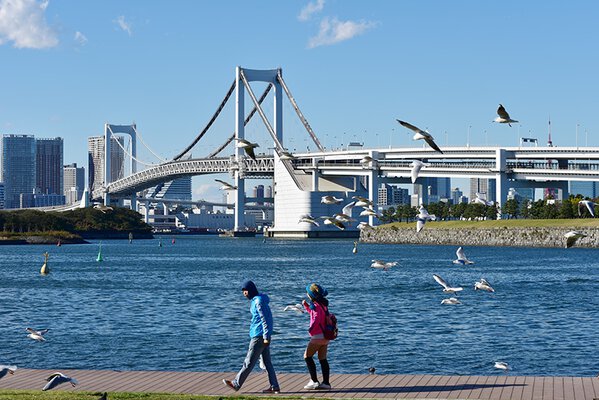 海の灯まつりinお台場2025 ＜お台場海浜公園＞東京お台場.net