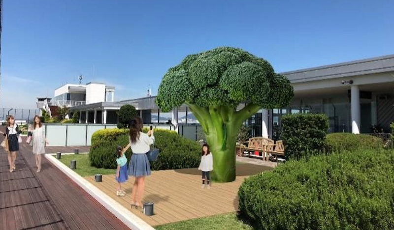 神戸空港 展望デッキ - 神戸公式観光写真ライブラリ FeelPhoto