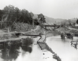 琵琶湖疎水ウォーキングコースを歩いてきました』大津 滋賀県 の旅行記・ブログ by