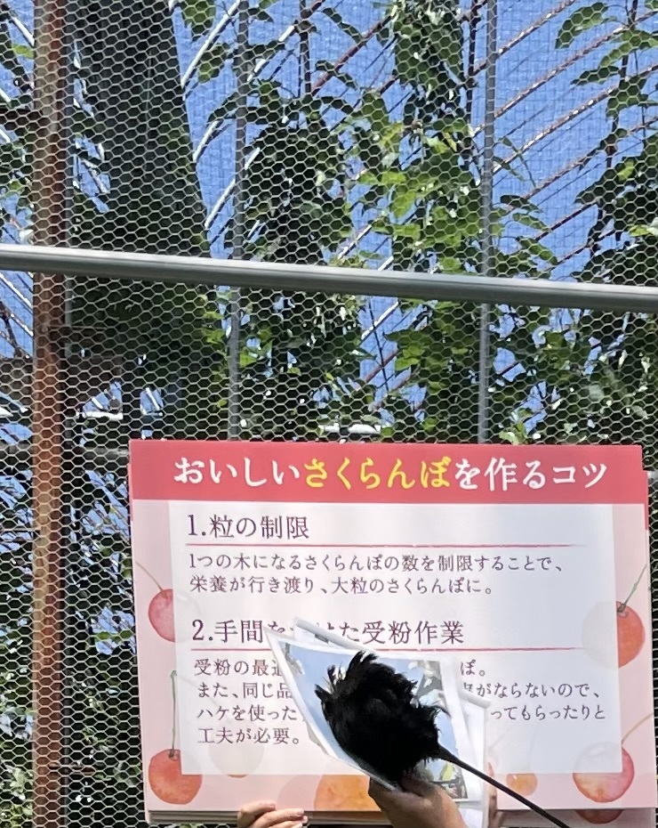 即完売の「シャトレーゼ体感ツアー」が抽選制に！試食もお土産も満腹満喫1泊2日の全貌を体験ルポTABIZINE～人生に旅心を～