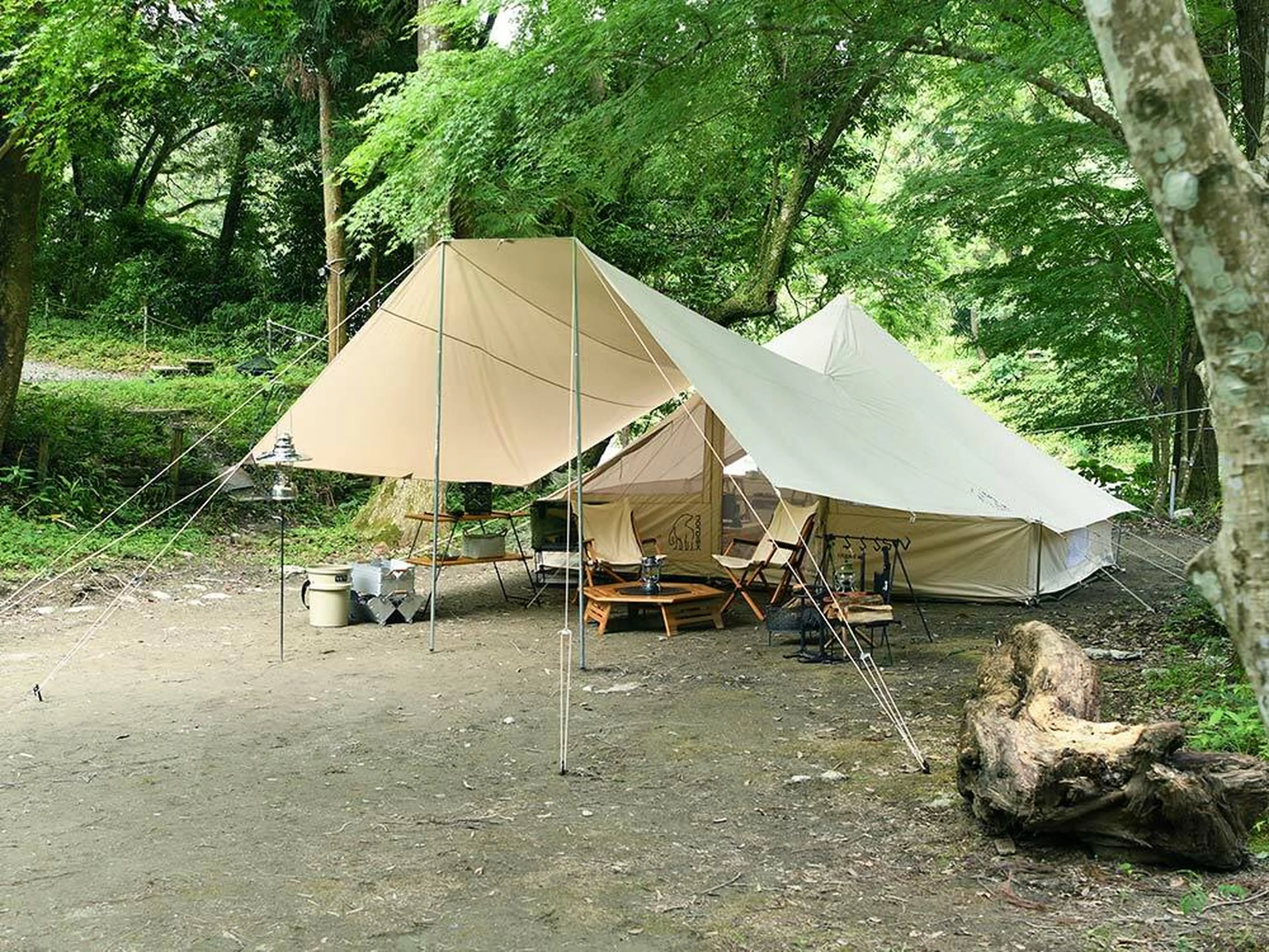 静岡県にある無料キャンプ場まとめ！予約不要の場所までご紹介campnuts キャンプナッツ