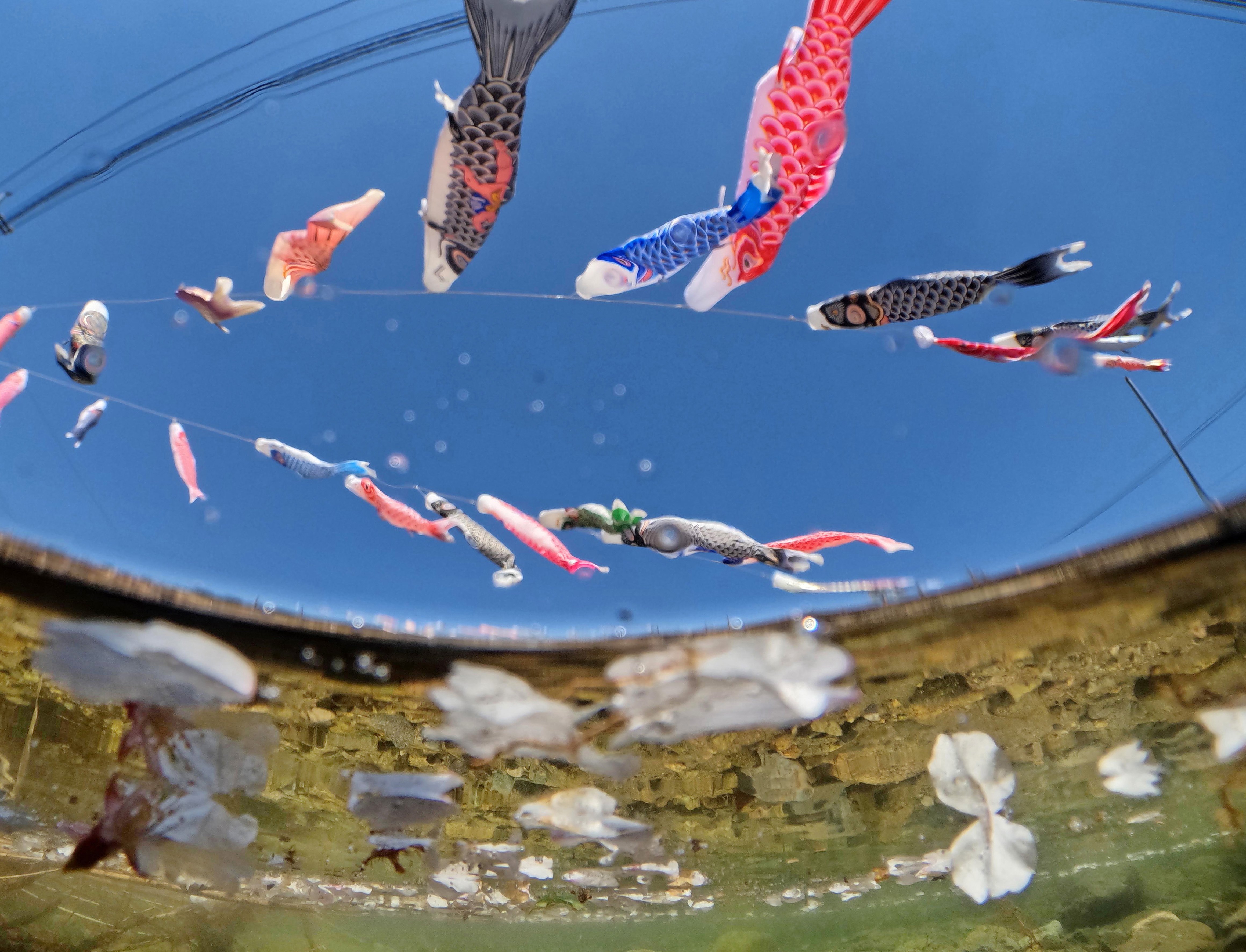 山口県土木防災情報システム河川監視カメラ一覧