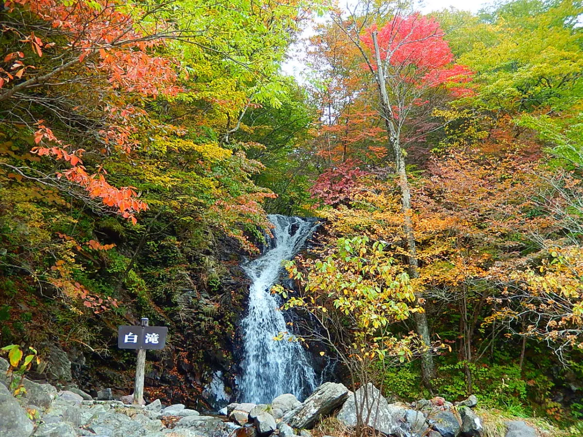 栃木日帰り旅行のおすすめ観光スポット17選！ドライブデートや女子旅にぴったり！VELTRA旅行ガイド