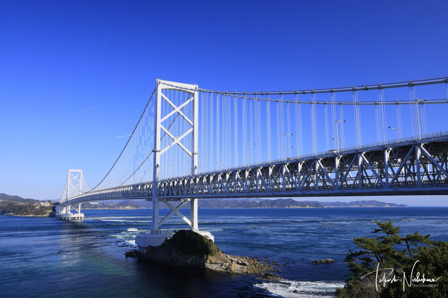 エスカヒル鳴門子供とお出かけ情報「いこーよ」