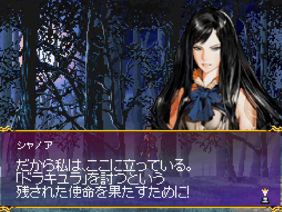 DS悪魔城ドラキュラ 奪われた刻印 ニンテンドーDS ☆箱・説明書付き ☆