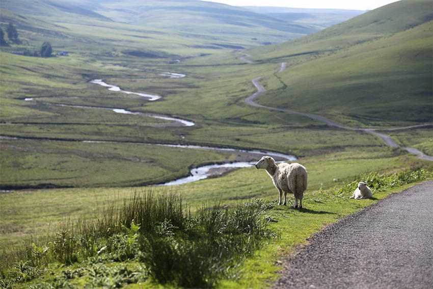 至るところに古城Wales