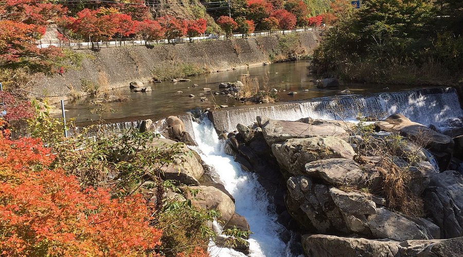 028 石神井公園で大人のランチピクニック練馬区のカプセルコースとっておきの練馬