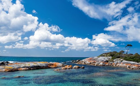 2025年 タスマニア州のアウトドア アクティビティ