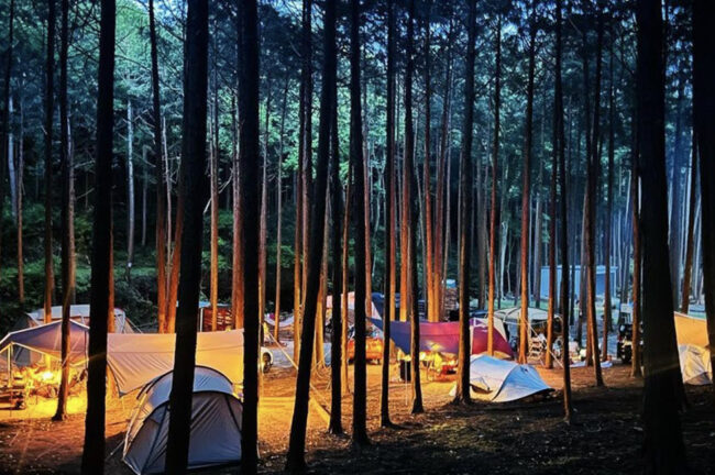 楽天市場 テント 一人用 大人 秘密基地