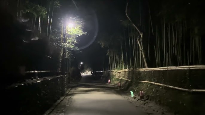 京都嵐山 夜明けの渡月橋と枝垂れ桜と朝日あおいとりっぷ