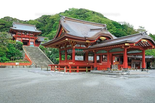 鎌倉市 鶴岡八幡宮 後編