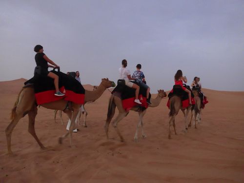 2025年アブダビ人気の砂漠サファリ体験ゲットユアガイドGetYourGuide