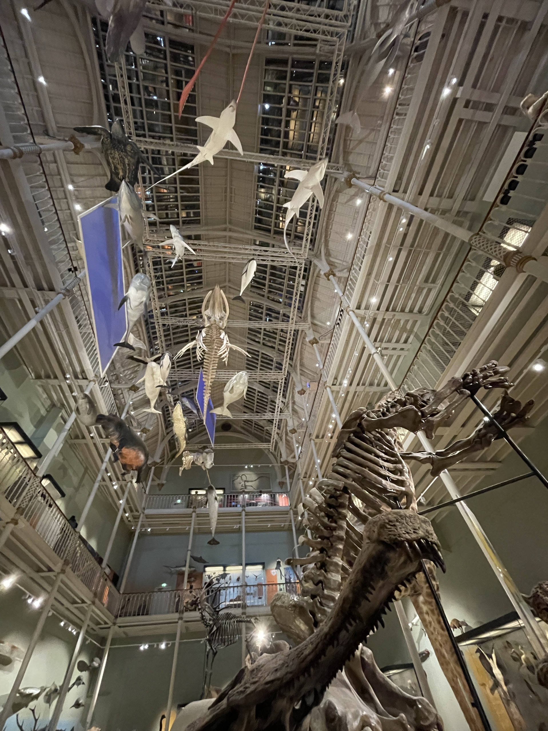 スコットランド国立博物館 クチコミ・アクセス・営業時間エジンバラ フォートラベル