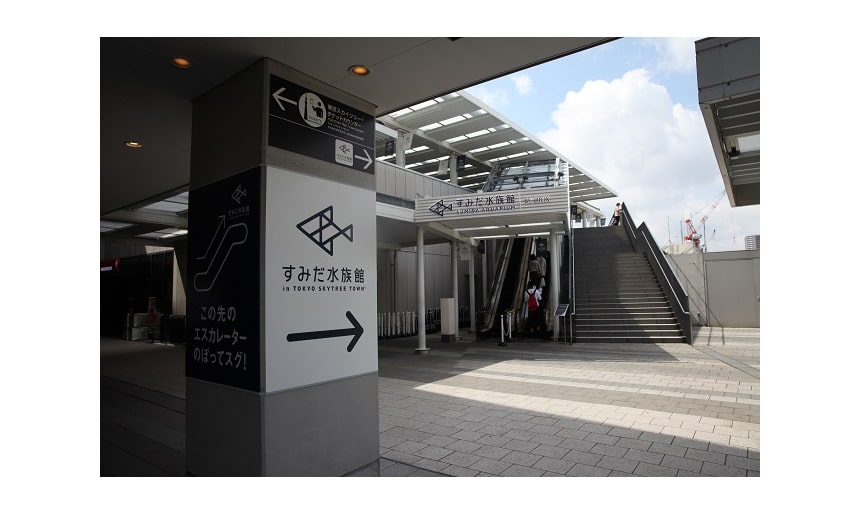 東京スカイツリータウン・ソラマチにある「すみだ水族館」に行ってきたよ 東京・押上