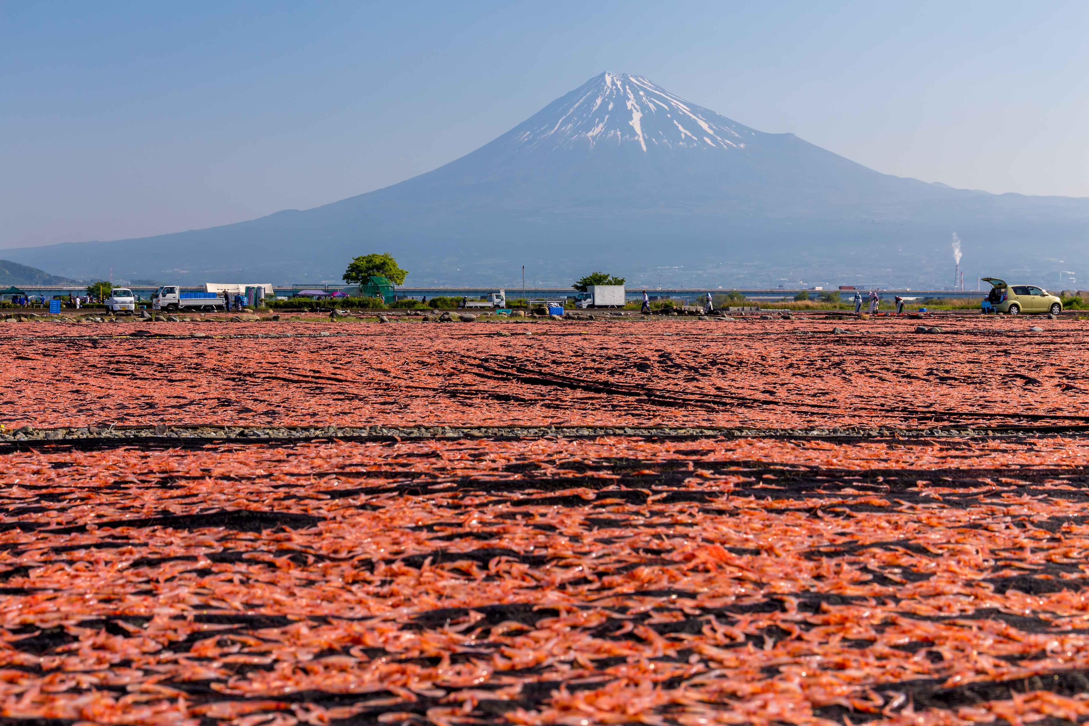 ライン下りや、鮎釣りに！日本三大河川特集 三大急流編ちいきごと