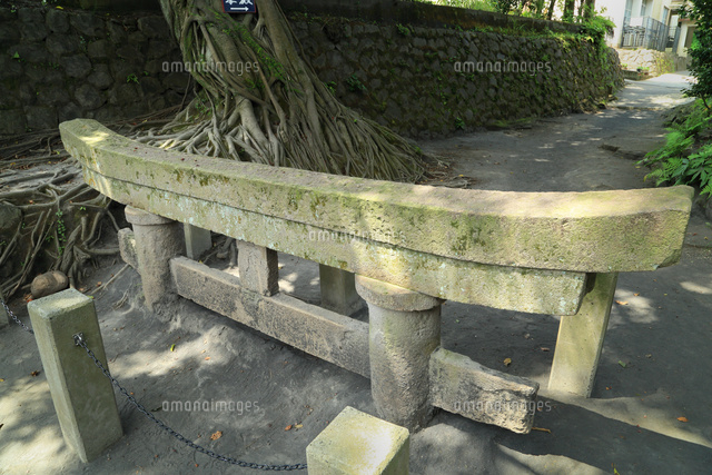 鹿児島県 桜島の黒神埋没鳥居 腹五社神社 とあこうの木は自然の厳しさとたくましさを感じる場所神社とお寺の時間