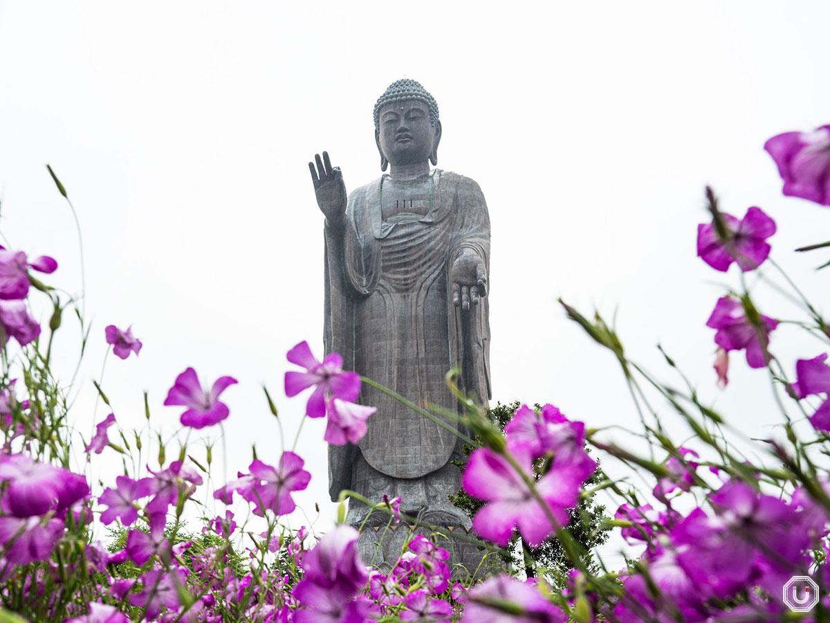 牛久大仏概要牛久大仏