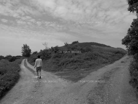 2,222 分かれ道 Stock Photos,