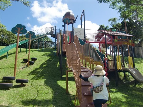 セグウェイツアー in 石垣島バンナの森 壮大な自然が残るバンナ公園をセグウェイ散歩＜石垣島＞石垣島・八重山の観光・オプショナルツアー専門VELTRA ベルトラ