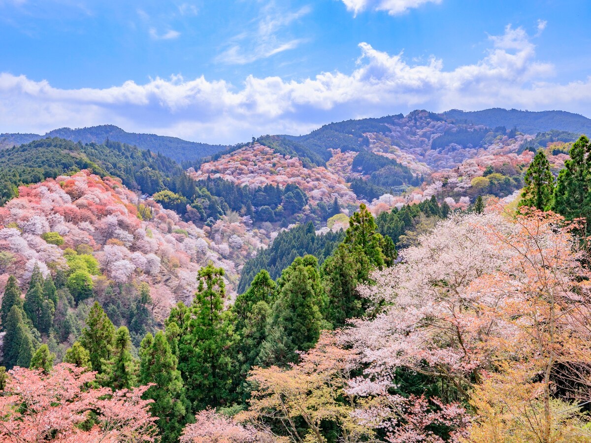 2024 奈良のおすすめ星空スポット6選！満天の星を見に行こう – narrative media