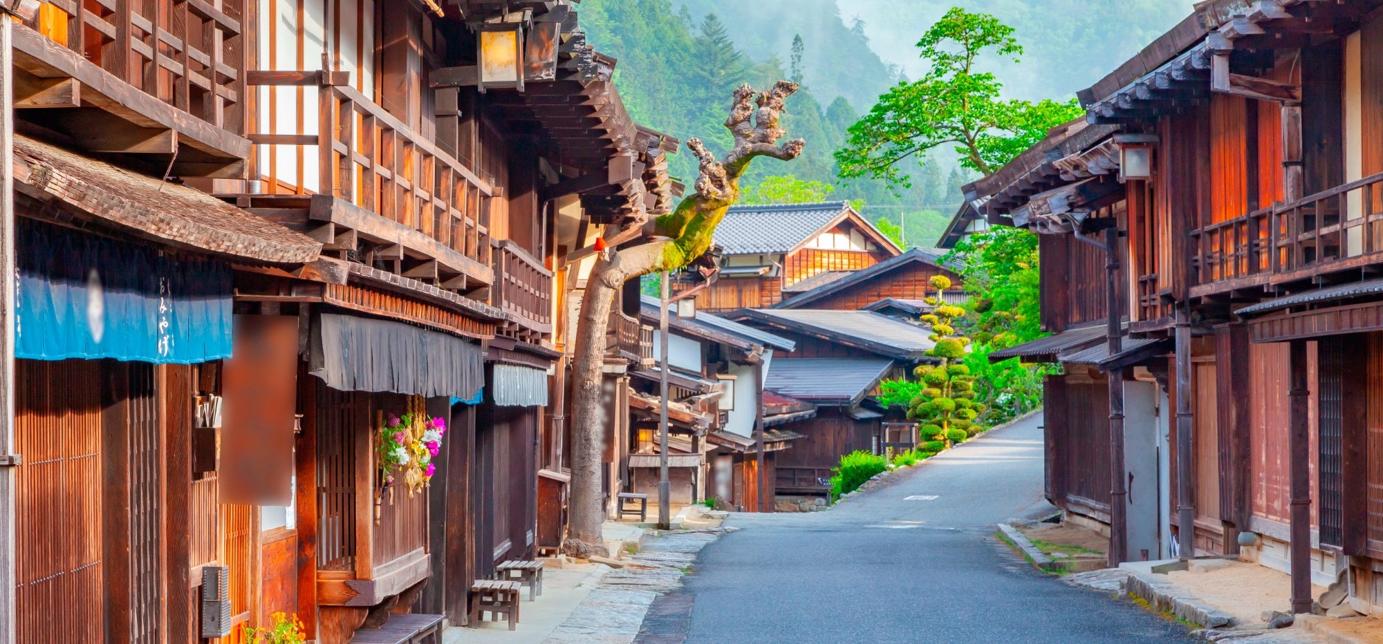 木曽・下伊那南部の朴葉巻 ＜おいしい信州ふーど図鑑 ＞おいしい信州ふーどネット