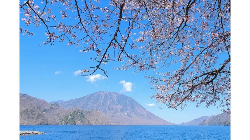 MTBネタ 奥日光の春。千手ヶ浜を目指してライドクルマ志考車を楽しむ、考える、理解する