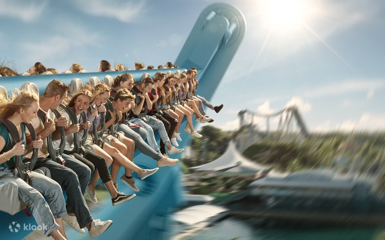 シーワールド オーランド旅行・ツアー海外旅行のSTW