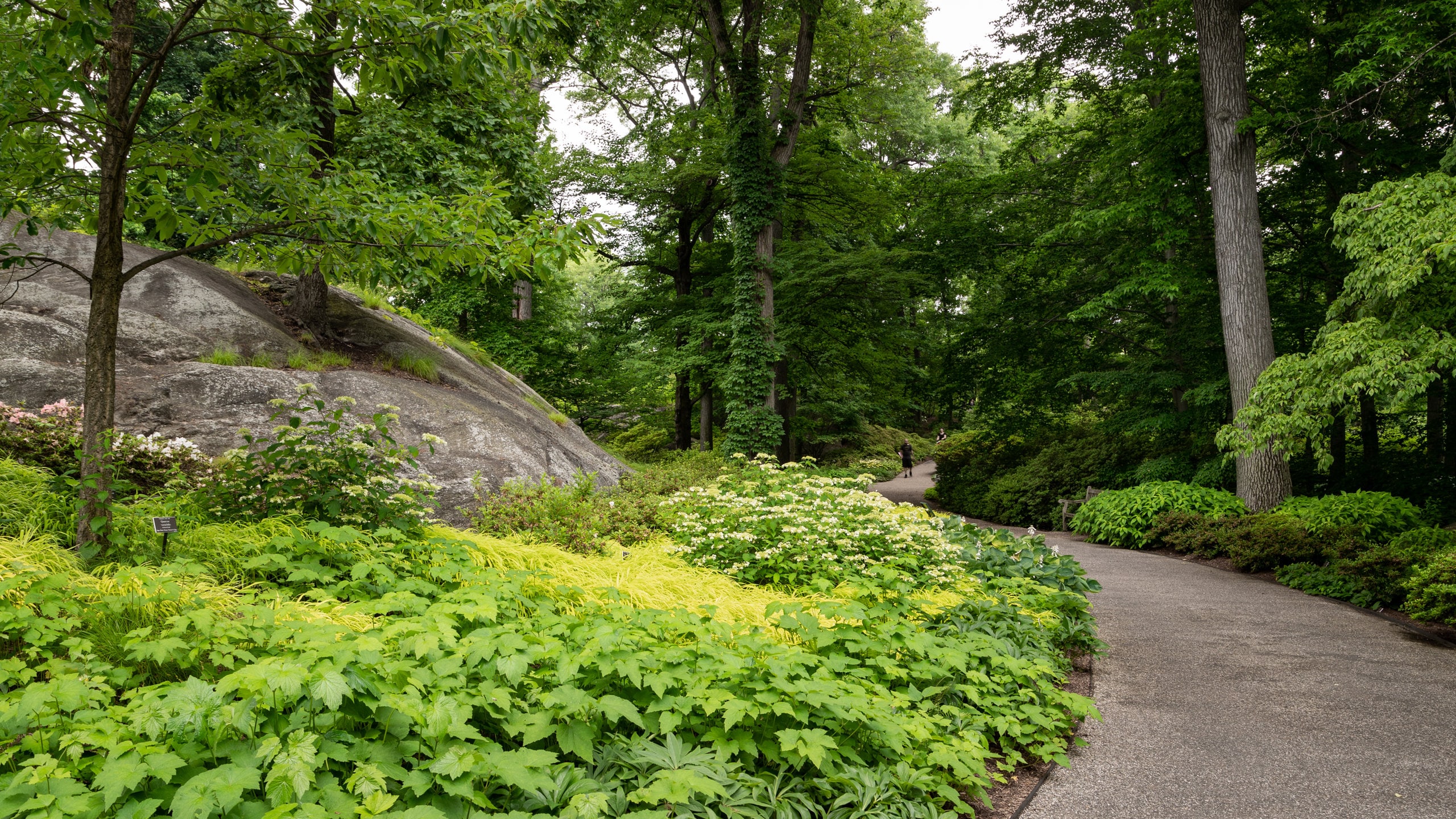 早春の「ニューヨーク植物園」を訪ねて -公式 シズカゲルシズカニューヨーク