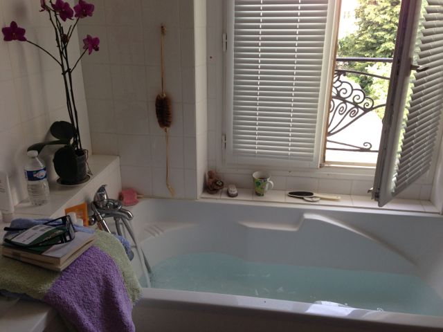 Amazon.co.jp: フランスふらふら一人旅 パリ・アパルトマン生活編