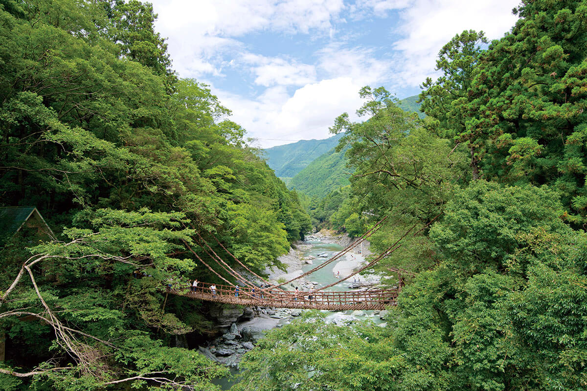 祖谷のかずら橋の所要時間と見どころを徹底ガイド！スリル満点の絶景スポット！Something Plus