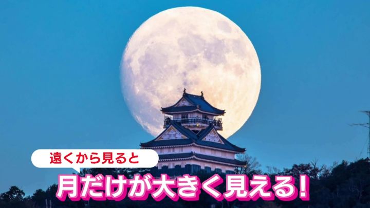 気象予報士が“中秋の名月とお城”の幻想的なコラボ撮影に挑戦 「カメラって天気を読むより難しい」名古屋・愛知・岐阜・三重のニュース CBCnewsCBC web1ページ