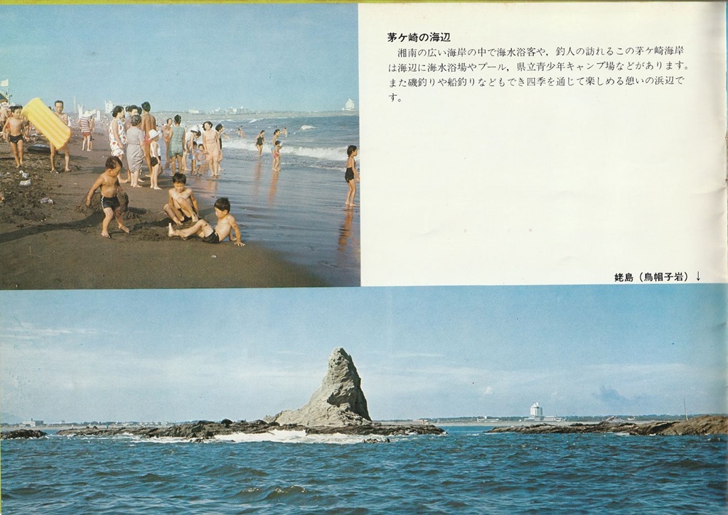 パシフィックパーク・茅ヶ崎 ハイクオリティーTシャツ デザインTシャツ通販 Tシャツトリニティ