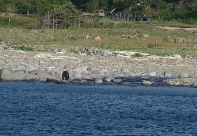 知床クルーズを体験したこと暫時晴