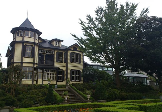 UNICO POLOYOKOHAMA PRECIOUS