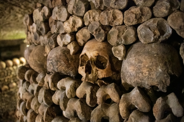 カタコンブ ド パリ チケット＆ツアーゲットユアガイドGetYourGuide